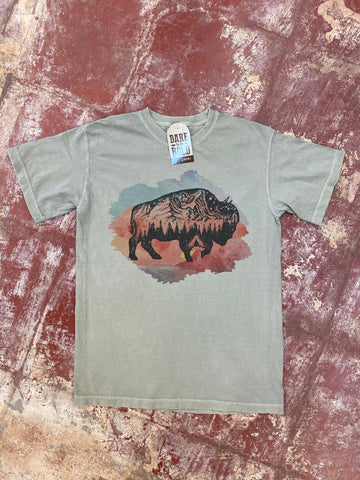 1746 Watercolor Mountain Buffalo Tee: Medium